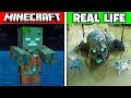 Minecraft mobs in real life animals items blocks