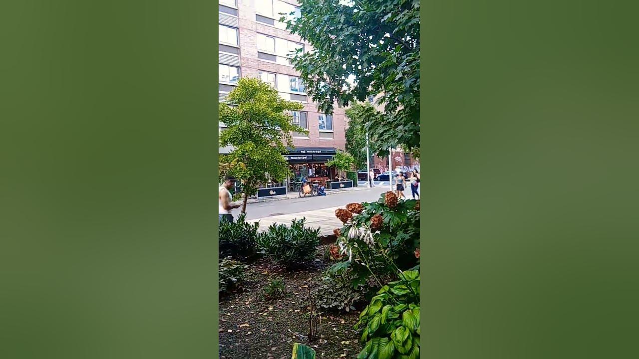 SIXT RENT A CAR N 4 St Williamsburg Brooklyn NY YouTube