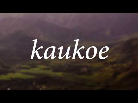 University of Hawaiʻi ʻōlelo of the week: kaukoe