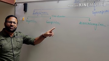 Plant taxonomy Part-5