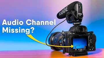 Sony Alpha A7R III Microphone Input Broken | Out of Warranty Experience