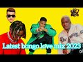 BEST OF MAHABA BONGO LOVE MIX 2023|PLATFORM WIVU|JAY JAY MELODY|RAYVANY|WILLY  PAUL BY DJ MADDX