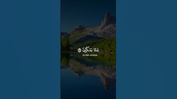 تلاوة خاشعة #trendingvideo #اكسبلور #المصحف #duet #دويتو #لايك #ايقنت #راحة_نفسية