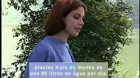 Quais os três principais usos da energia em nossa sociedade?