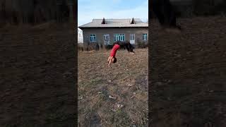 Qish Bahor Yoz Kuz Barcha Fasilda