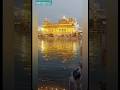 Gurudwara Amritsar #Amritsar #Harmandir Sahib #Gurudwara