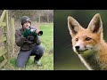 Wildlife Photography Tips and Tricks - How to Get CLOSE to Wildlife