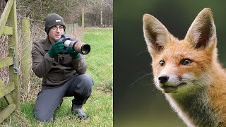 Wildlife Photography Tips and Tricks - How to Get CLOSE to Wildlife