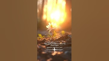 ‏القرآن الكريم - سورة الأنفال بصوت القارئ الشيخ محمد صديق المنشاوي #اكسبلور #explore #explorepage ￼