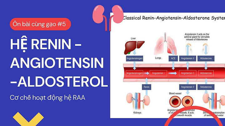 Angiotensin 1 là gì