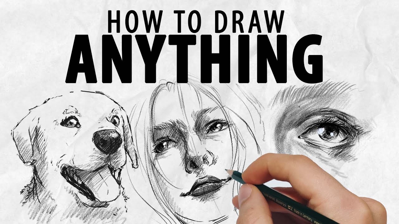 Easy Draw Butterfly Step Step For Beginners | by Maheen Naveed | Medium