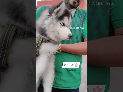 ريتا الجميله