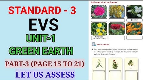 GREEN EARTH | PART 3 | PAGE 15 TO 21 | STD 3 EVS UNIT 1 ENGLISH MEDIUM | Edu Mate