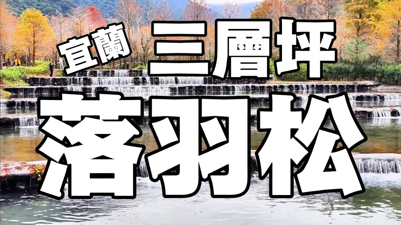 【宜蘭】宜蘭必訪！三層坪落羽松打卡秘境  