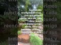 Frases de inspiración 🔥