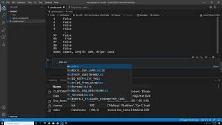 Working with pandas and Visual Studio Code