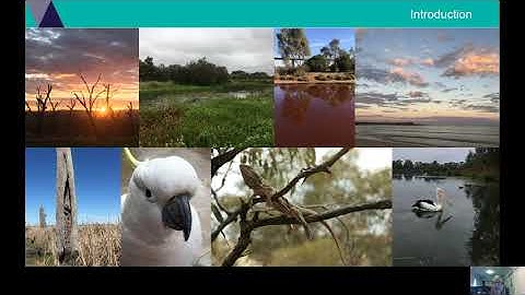 Monitoring Wetland Hydrology in Victoria - Katie Jackson - DELWP – W&C