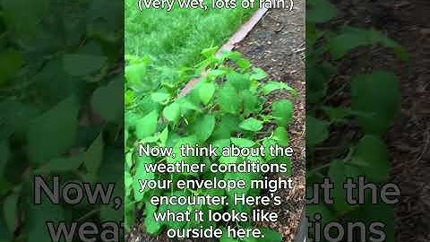 Making Pointed Pen Envelope Calligraphy (Step by Step)