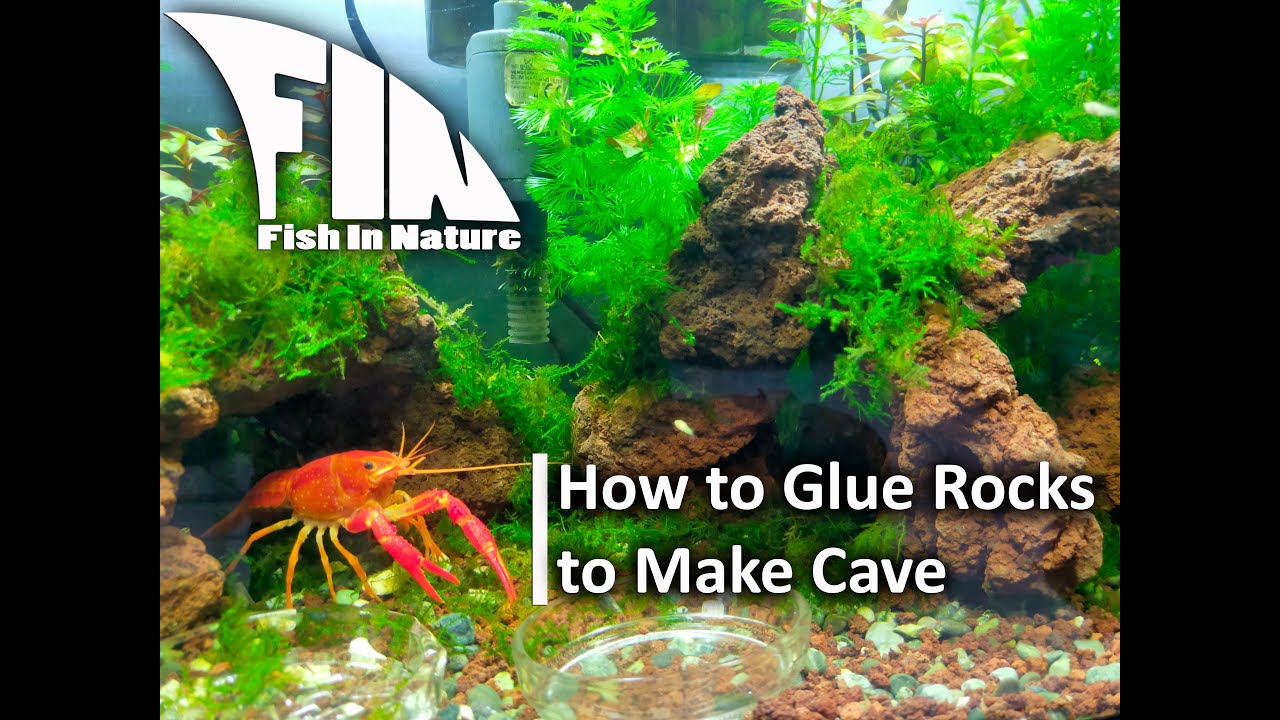 Just here to show you how easy it is to glue your rocks down… so they