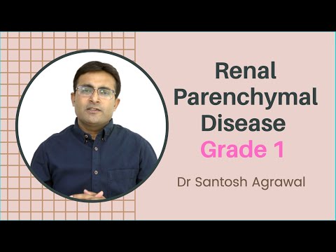 Video: Diffuse Changes In The Renal Parenchyma - Cyst Of The Renal Parenchyma, Thinning Of The Parenchyma