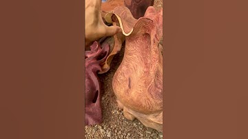 Xuất sắc béo tròn Vân xoắn nu Cẩm vip Zalo 0869963037