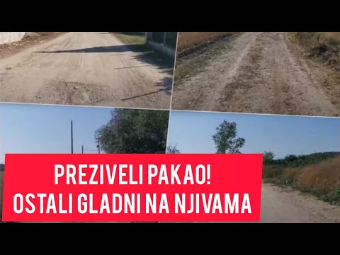 Letovanje U GRČKOJ platili 2.000 evra a ZAVRŠILI GLADNI na njivama: Dejan i Milena preživeli PAKAO!