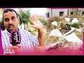 كلاب ضالة تنهش في قبور حي مسنانة بطنجة والساكنة تستنكر وتناشد المسؤولين كلاب ضالة تنهش في قبور حي مسنانة بطنجة والساكنة تستنكر وتناشد المسؤولين