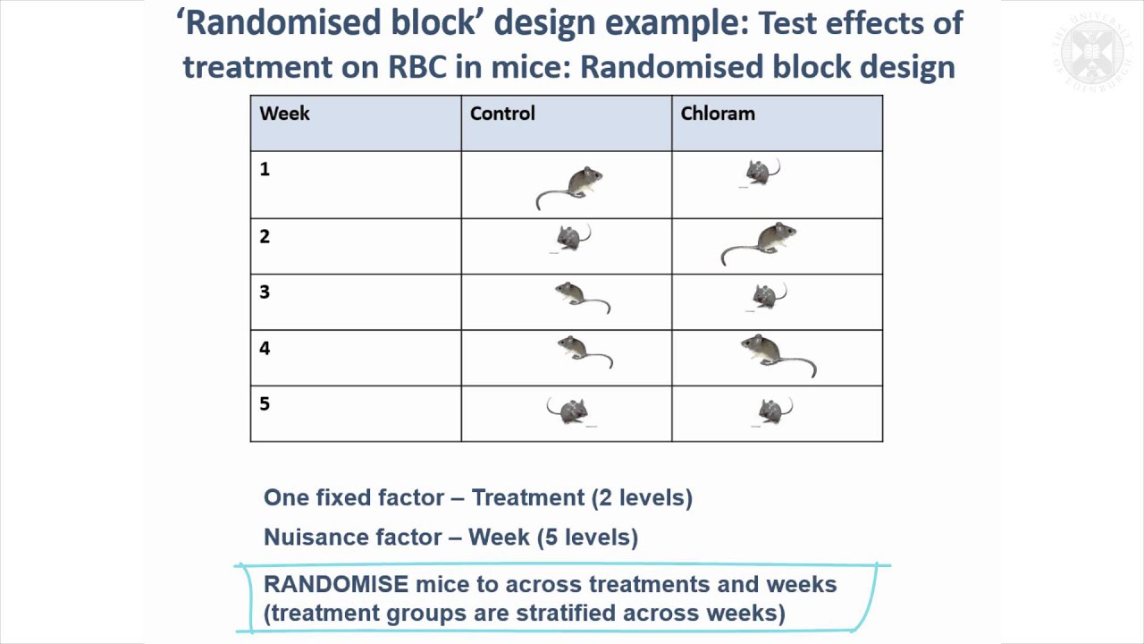 block design in statistics