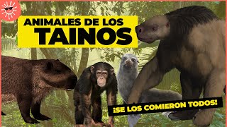 ESTOS ANIMALES EXISTIERON junto a los TAÍNOS (¡Y se los comieron todos!!! 😫)