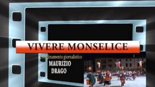 Sigla Vivere Monselice 2015