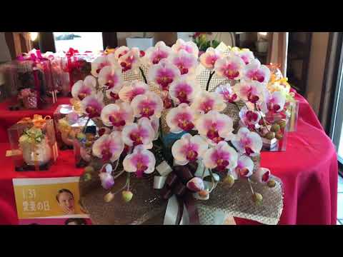 開店祝い 胡蝶蘭 新潟県 三条市 お祝い お誕生日 還暦祝い プレゼント 退職祝い