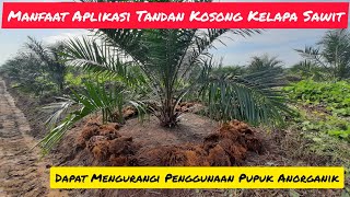 MANFAAT APLIKASI TANDAN KOSONG PADA TANAMAN KELAPA SAWIT
