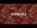 Free for profit beats somali free for profit type beat afrobeat instrumental lofi libra