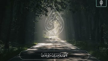 فَاصْبِرْ كَمَا صَبَرَ أُولُو الْعَزْمِ مِنَ الرُّسُلِ   اسلام صبحي   حالات واتس من سورة الأحقاف720P