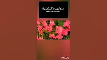 سورة الفاتحة بصوت الشيخ ماهر المعيقلي #قرآن #قرآن_كريم #qurantilawat #quran #qurantranslation