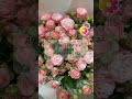 Доставка квітів Чернігів | Квіти | Доставка цветов Чернигов #квіти #flowers #florist #rose #bouquet