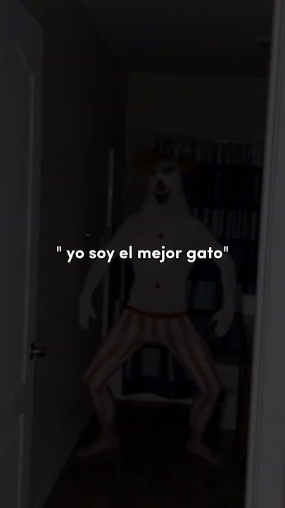 Eso ni gato era #xd