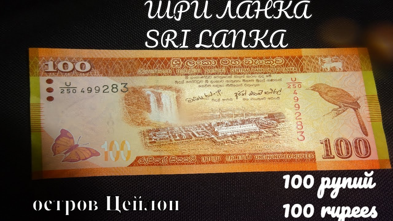 Курс рупии шри ланка к рублю сегодня. Банкнота Шри Ланки 1000. Шри Ланка 100 банкнота. 100 Деньги Шри Ланка. Рупия Шри Ланка.