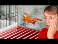 The HARDEST PRISON ESCAPE in GTA 5!
