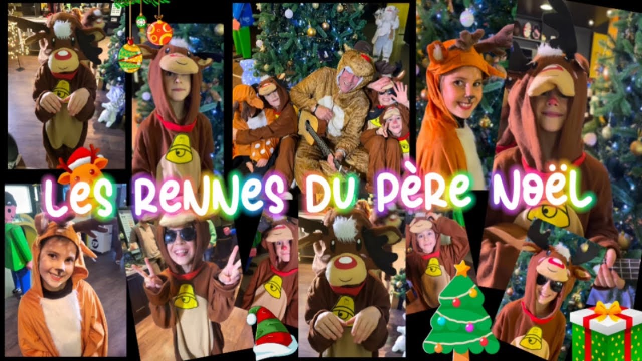 David LION - Les rennes du Père Noël