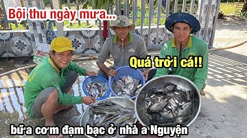 Bội Thu Ngày Mưa • Địa Điểm Mới - Chiến Thuật Cũ Bắt Được Rất Nhiều Cá Đồng | Fish