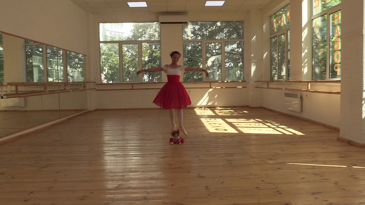 Вариация из детского па де де. Исполняет ученица ансамбля 