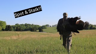 Spot & Stalk (Turkey Hunting !!!)