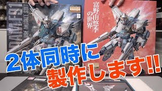 MG ガンダムF91 2.0 残像イメージカラー＋富野由悠季の世界限定2体セット MG ガンダムF91 Ver.2.0 ORIGINAL PLAN Ver. 完成！！ 【あれ