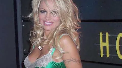 The Howard Stern Show: Pamela Anderson Calls (Augu...