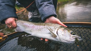 SHE DID IT! Spey Fishing for Spring Steelhead 2023