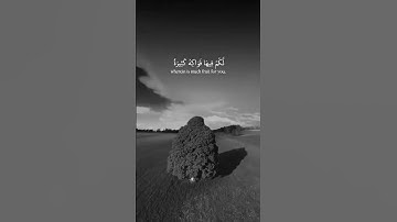 🖤القـــــارئ ســعيد دبــاح❤️ تلاوة من ســـورة المــؤمنون🖤