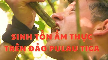 Hành Trình Sinh Tồn Ẩm Thực Trên Đảo Pulau Tiga