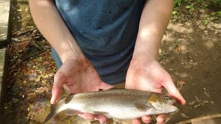 Fall Stocked Trout Fishing with Corn -- Tutorial Included (Northeast Philadelphia, PA)