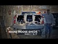Moose Shed Hunt with Daddy O - Maine Shed Hunting